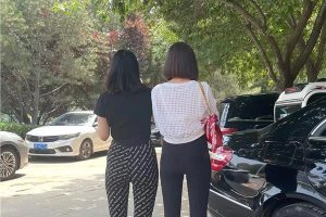 [海淀区] 海淀服务型丁当