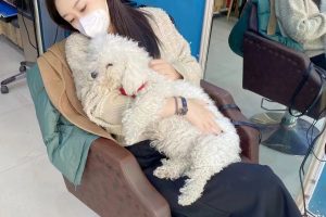 [朝阳区] 朝阳高碑店小艾